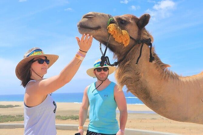 Day Pass Adventure in Los Cabos with Roundtrip Transport - The day pass system: choose your order, then keep the pace