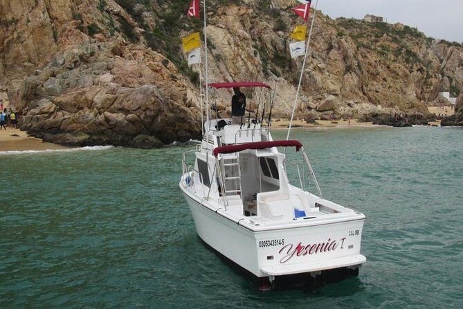 Deep Sea Fishing for 5 Hours from Cabo San Lucas - Licenses, Cleaning, and Mounting: The Extras That Shape Your Final Bill
