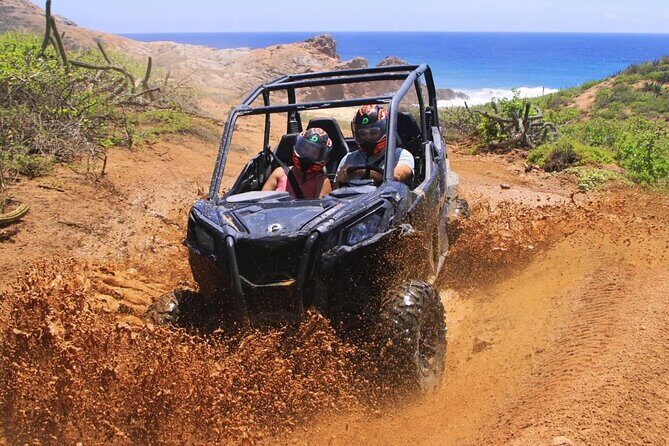 Desert and Beach Buggies Tour - Guides, Safety Gear, and the Service People Keep Praising