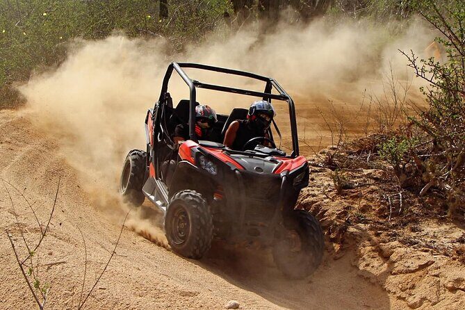 Desert and Beach Buggies Tour - Physical Fitness and Age Rules That Can Affect Your Plans