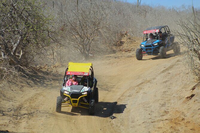 Desert and Beach UTV Adventure with Tequila Tasting - Price and value: $179.12 plus a $25 entrance fee