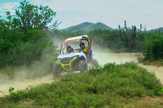 Desert and Beach UTV Adventure with Tequila Tasting - Who should book this UTV and tequila tasting