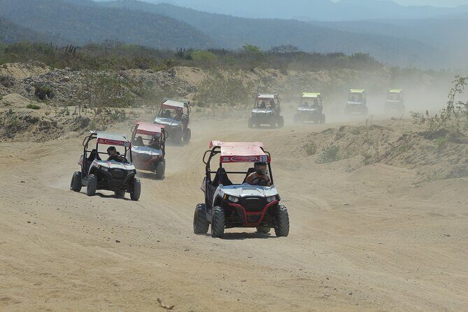 Desert and Beach UTV Adventure with Tequila Tasting - Should you book Desert and Beach UTV Adventure with Tequila Tasting?