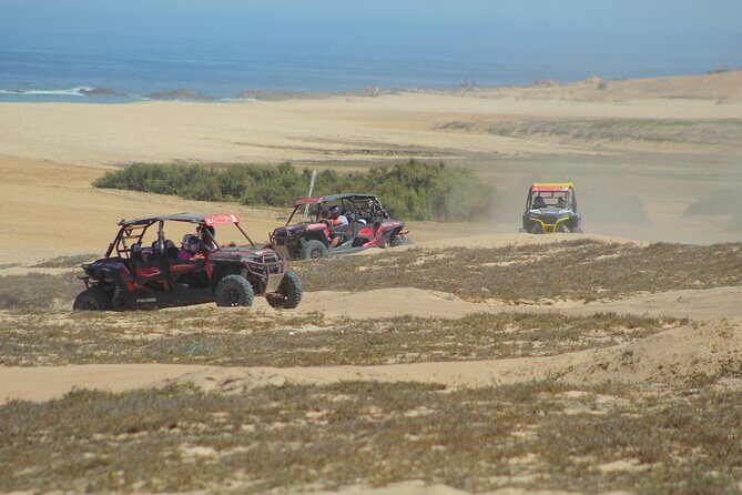 Desert and Beach UTV Adventure with Tequila Tasting - FAQ
