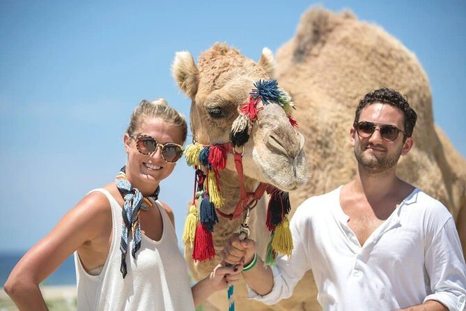 Desert & sea, Camel Safari tour in Los Cabos with lunch - Key things that make this camel safari work
