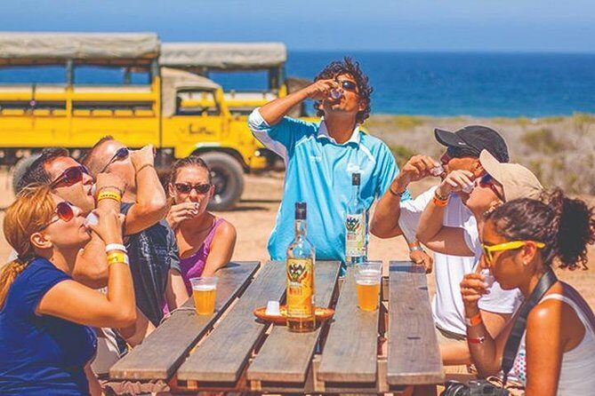 Desert & sea, Camel Safari tour in Los Cabos with lunch - Why a camel safari outside Cabo feels like a mini time machine