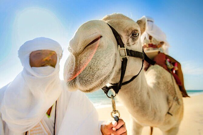 Desert & sea, Camel Safari tour in Los Cabos with lunch - The coastal ride and camel kisses: fun, quick, and very photogenic