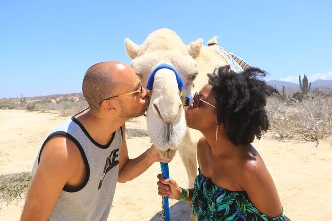 Desert & sea, Camel Safari tour in Los Cabos with lunch - Lunch at the typical house: tortillas and sauces that make it more than a stunt