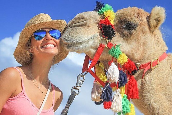 Desert & sea, Camel Safari tour in Los Cabos with lunch - Tequila, mezcal, and Damiana by the Pacific