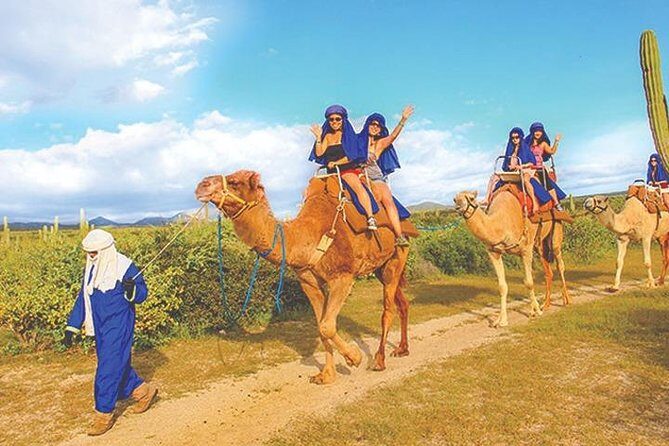 Desert & sea, Camel Safari tour in Los Cabos with lunch - Who should book (and who should skip it)