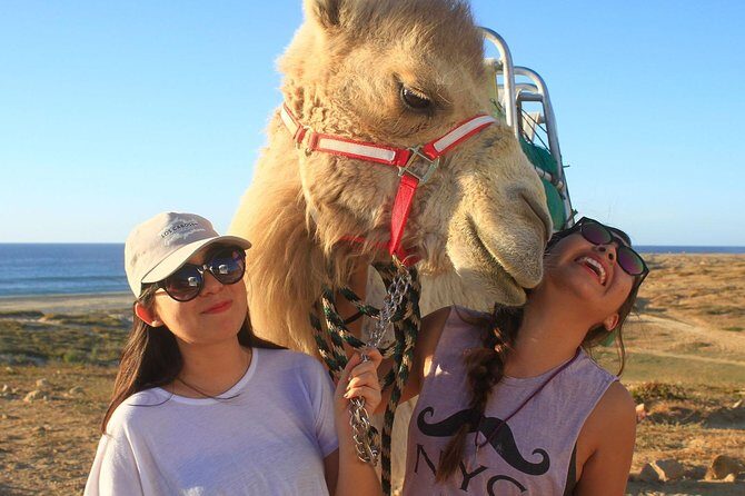 Desert & sea, Camel Safari tour in Los Cabos with lunch - Pickup and timing: fitting a big day into about 5 hours