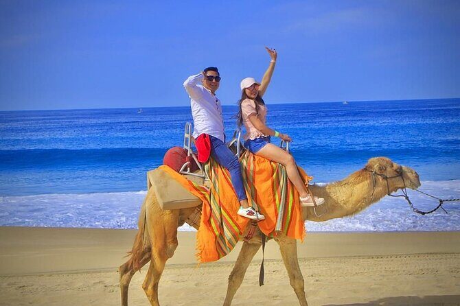 Discover Cabo San Lucas by camel ride - Pickup, meeting point, and the van you’ll actually find