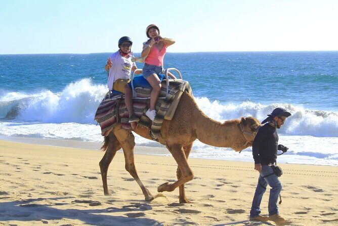 Discover Cabo San Lucas by camel ride - The step-by-step flow inside the park