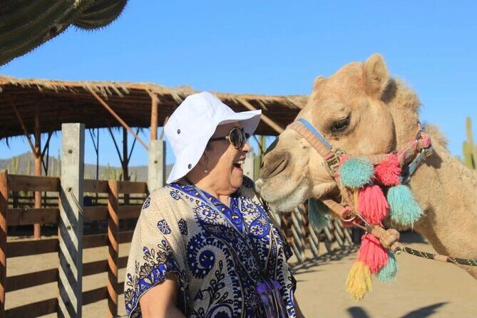 Discover Cabo San Lucas by camel ride - Included comfort items that make the ride easier