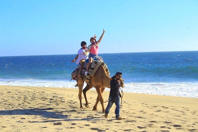 Discover Cabo San Lucas by camel ride - Group size and guidance: why Oscar matters