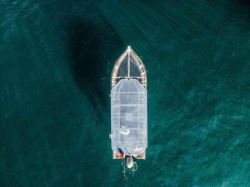 Discover Cabo San Lucas Clear Boat Glass Factory & Tequila - The Glass-Bottom Boat Ride: Arch Views and Underwater Clarity