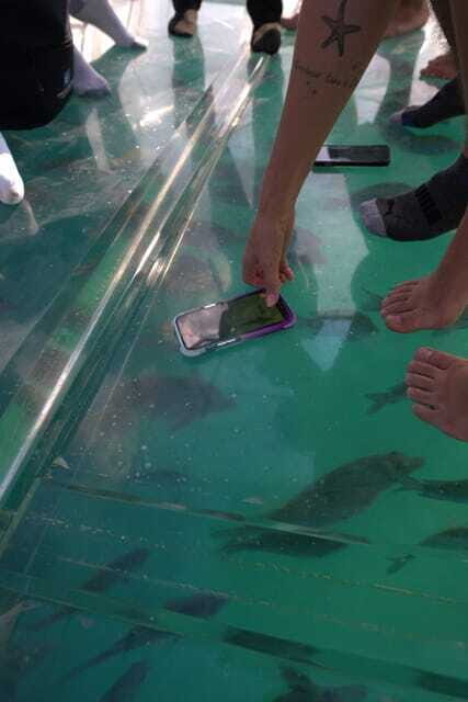 Discover Cabo San Lucas Clear Boat Glass Factory & Tequila - Glass Factory Visit: Watching Hand-Made Work in Real Time