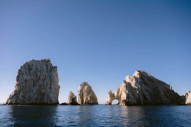 Educational Sunrise Whale Watching with Photos Included - What makes this tour educational, not just scenic