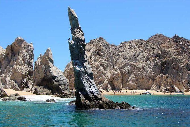 Explore Los Cabos City Tour, Glass-Bottom Boat Ride, Lunch and Shopping! - Shopping Time: A Practical Way to Bring Cabo Home