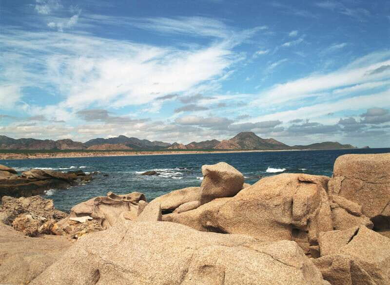 From Cabo: Cabo Pulmo Marine Park Snorkeling and Kayaking - Snorkeling the reef: 2–3 stops and about 4 hours on the water