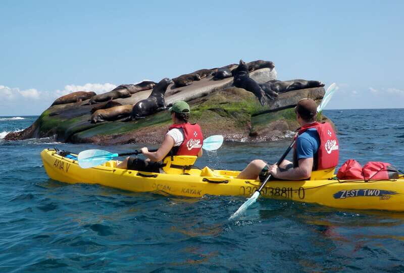 From Cabo: Cabo Pulmo Marine Park Snorkeling and Kayaking - Guide quality and the small-group advantage (Casey included in top reviews)