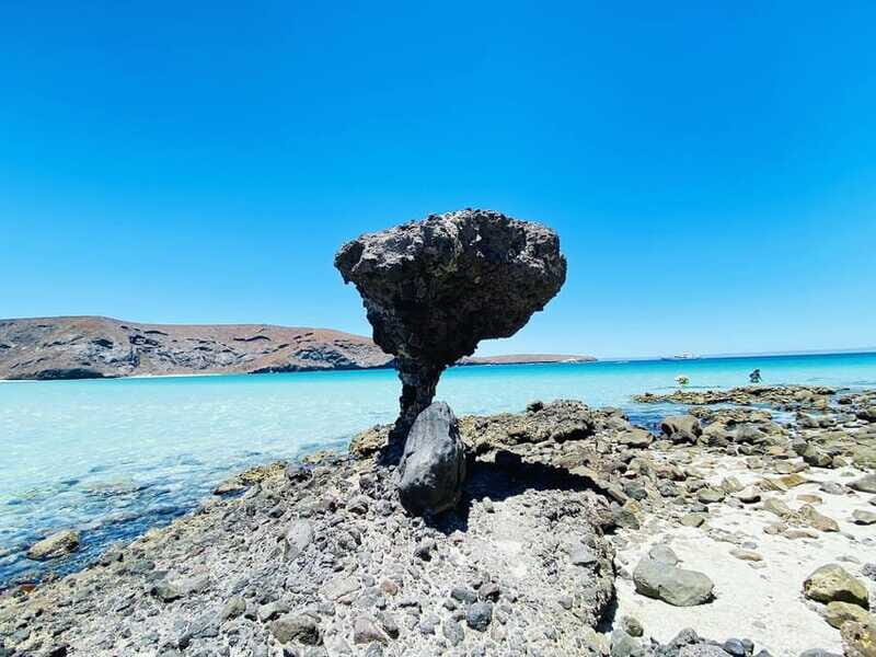 From Cabo/San José del Cabo: La Paz, Balandra & Todos Santos - Todos Santos and Hotel California: Art-Forward Stop With Shop Time
