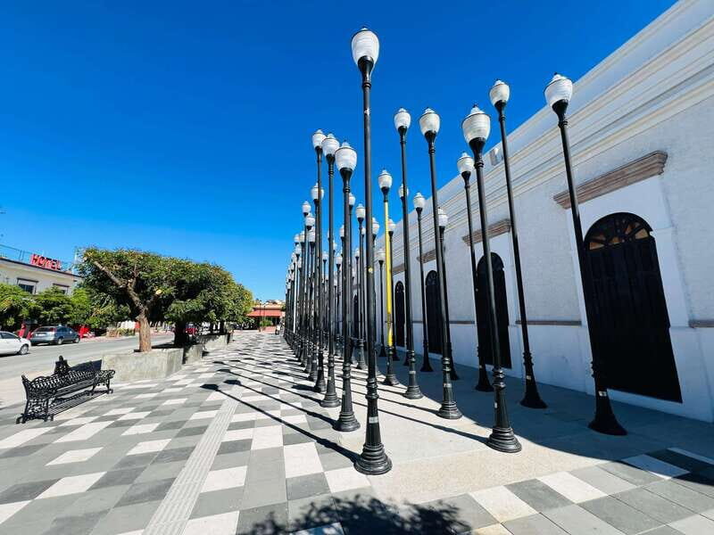 From Cabo/San José del Cabo: La Paz, Balandra & Todos Santos - Seats, Timing, and Comfort: How to Make the Day Feel Easier