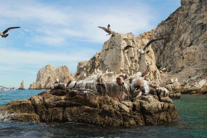 From Cabo San Lucas: Lovers Beach and El Arco Boat Trip - Lovers Beach Break: Clear Water, Swimming, and a DIY Day