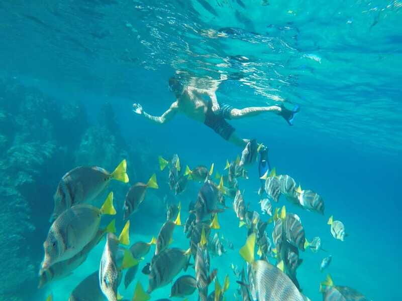 From Cabo San Lucas: Lovers Beach and El Arco Boat Trip - Day-Of Confidence: How to Avoid Meeting Problems