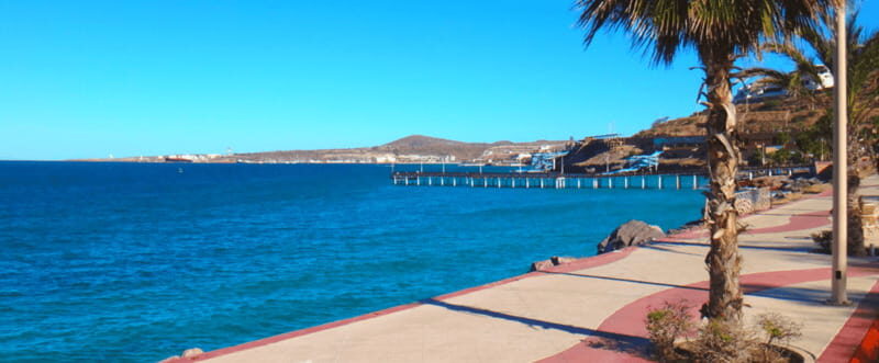 From Los Cabos: City Tour La Paz, Balandra and Todos Santos - Transportation, group size, and how the day will feel