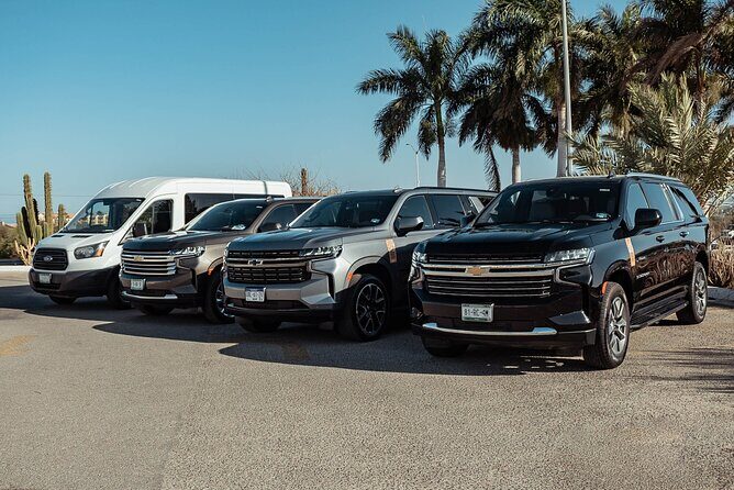 Full-Day La Paz Private Tour from Los Cabos - Private pickup in an A/C vehicle: comfort is part of the experience