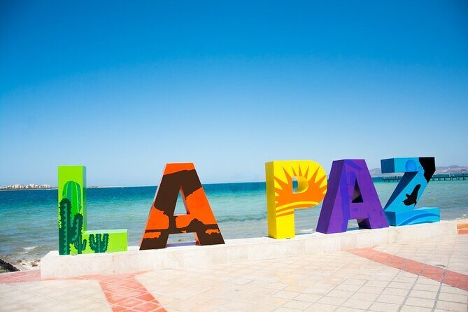 Full-Day La Paz Private Tour from Los Cabos - Price and what you actually get for $720 per group