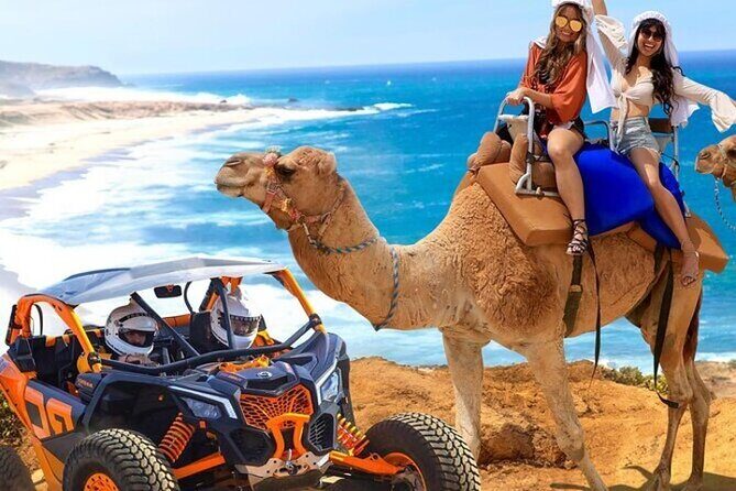 Fun Camel Ride and UTV COMBO with Tequila Tasting! - Key things to know before you go