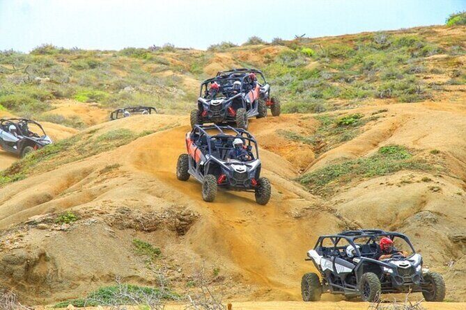 Fun Camel Ride and UTV COMBO with Tequila Tasting! - Cabo Combo Value: Camel, UTV, Tequila, One Ticket