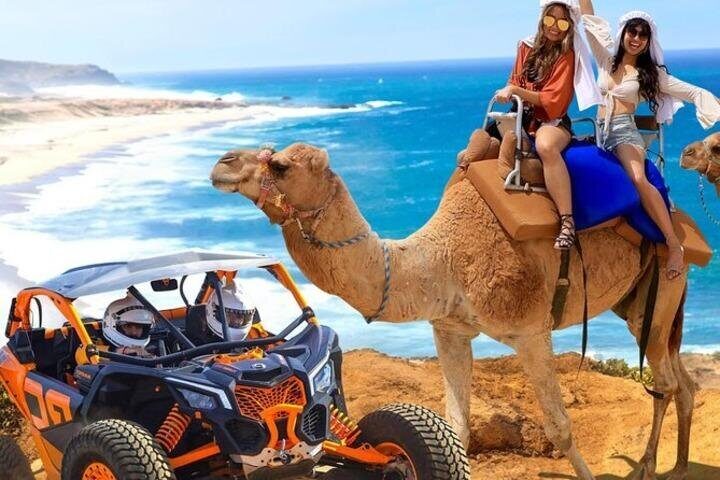 Fun Camel Ride and UTV COMBO with Tequila Tasting! - Guides Matter: From Safety Briefings to Desert Humor