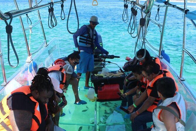 Glass Boat Tour in The Arch - Fish sightings you can actually track, from Hogfish to Surgeonfish