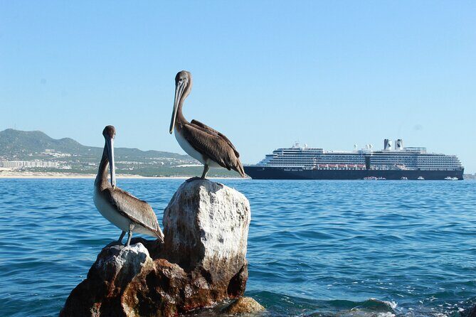 Glass Bottom Boat in Cabo San Lucas, free time in Playa del Amor - Meeting at Marina Dock A: Timing Tips That Save Stress