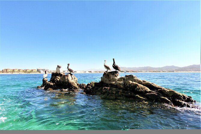 Glass Bottom Boat in Cabo San Lucas, free time in Playa del Amor - On Board Comfort, Life Jackets, and the Optional Photo Moment