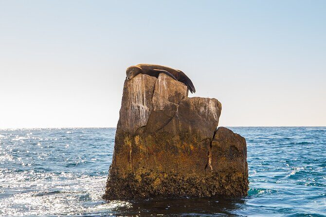 Glass Bottom Boat in Cabo San Lucas, free time in Playa del Amor - Should You Book This Glass-Bottom Cabo Cruise?