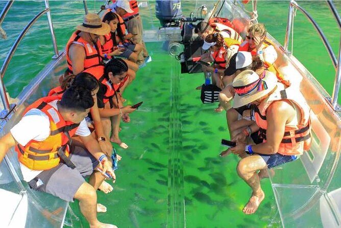 Glass Bottom Boat To the Famous Arch Of Cabo - Meeting point at Mr. Pingüi tours: start and end are the same