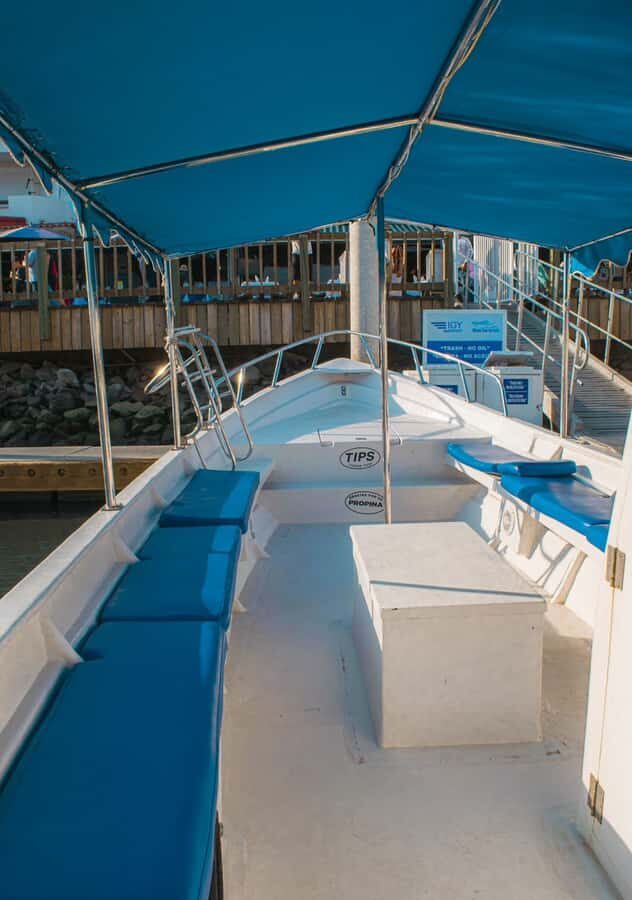 Glass bottom boat whale watching - Whale Watching for 45 Minutes: How to Get Better Sightlines