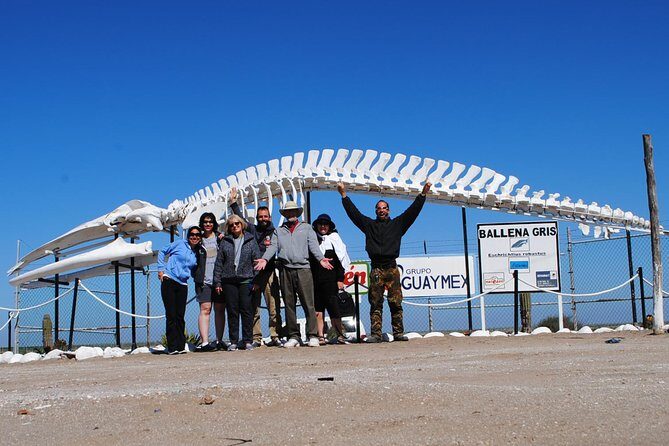 Gray Whale-Watching 2-Day Experience in Magdalena Bay - Day 1 in Magdalena Bay: check-in, tacos, sunset dunes, then the late boat