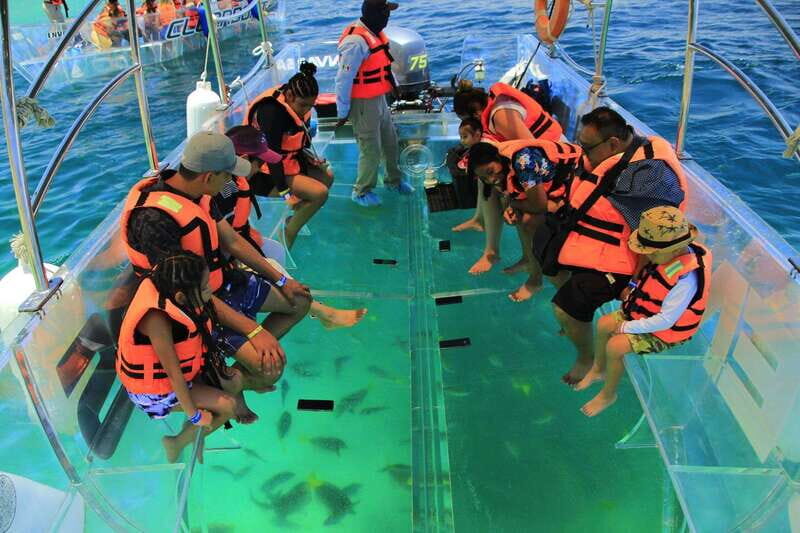 Guided Cabo Tour: Boat | Tacos & Tequila | Photos & Transfer - Who Should Book This Cabo Boat + Tacos + Photos Tour?