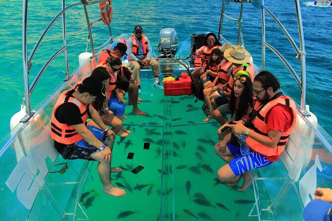 Half-Day Exploring the Arch of Cabo San Lucas Guided Tour - Start at Plaza Bonita and Get Your Timing Right