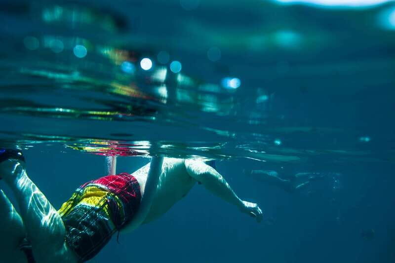Half Day Guided Snorkel Tour in Los Cabos - Key highlights you’ll feel right away