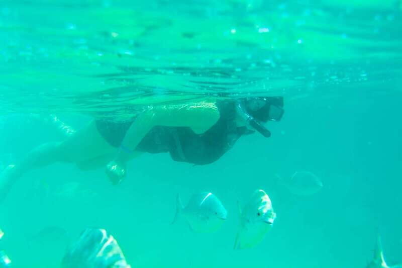 Half Day Guided Snorkel Tour in Los Cabos - Santa Maria and Chileno Bays: why these two spots work