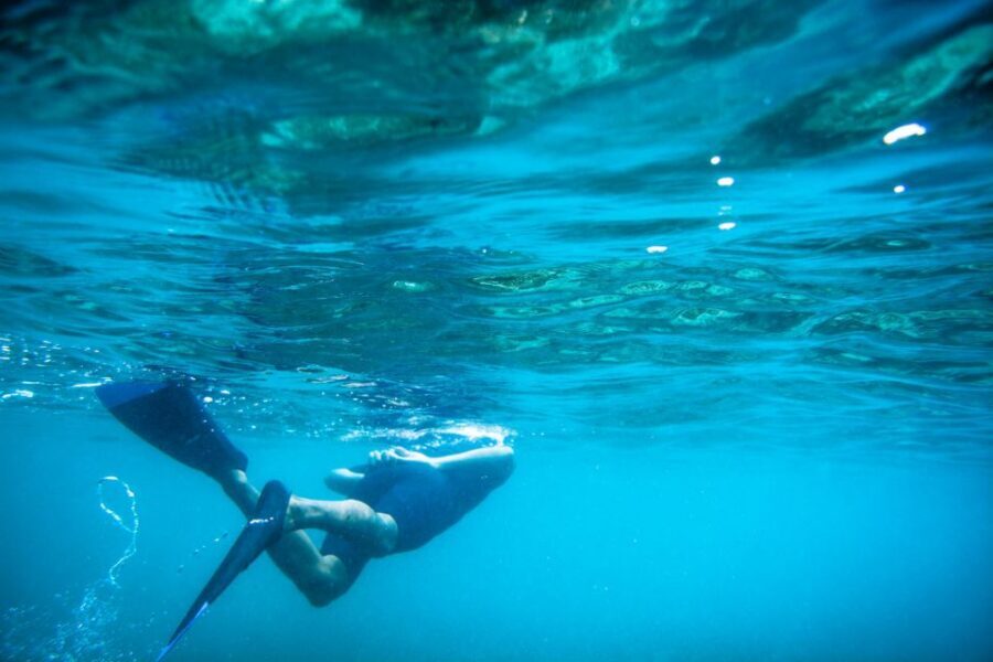 Half Day Guided Snorkel Tour in Los Cabos - Timing and weather: why the morning matters
