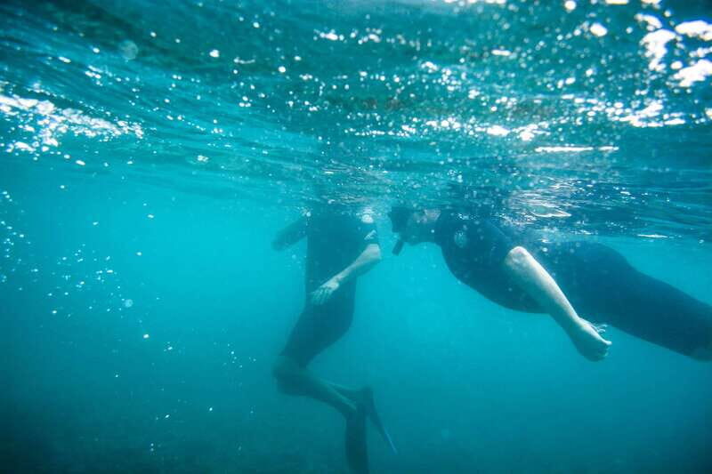 Half Day Guided Snorkel Tour in Los Cabos - Who this tour is for (and who should skip it)