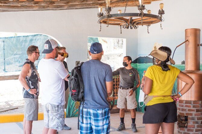Half-Day San José del Cabo Zip Line and Rappel Adventure - Guides and Crew: The Human Side That Makes It Fun