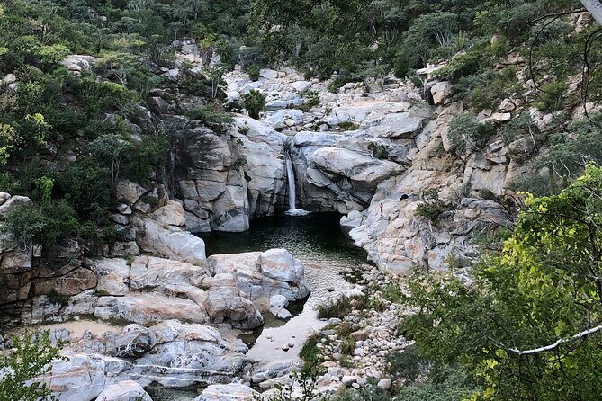 Hidden Waterfalls Hiking Adventure - Quick Highlights You’ll Care About